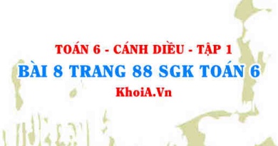 Bài 8 trang 88 SGK Toán 6 tập 1 Cánh Diều